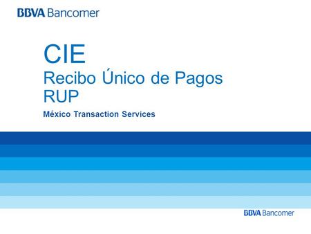 CIE Recibo Único de Pagos RUP México Transaction Services 1.