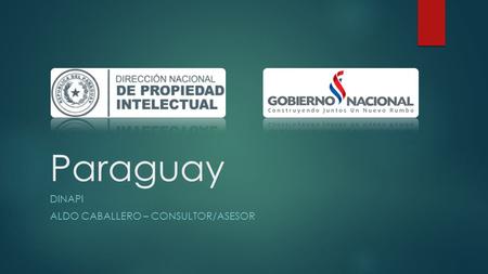 Paraguay DINAPI ALDO CABALLERO – CONSULTOR/ASESOR.
