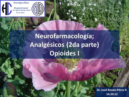 Neurofarmacología; Analgésicos (2da parte) Opioides I