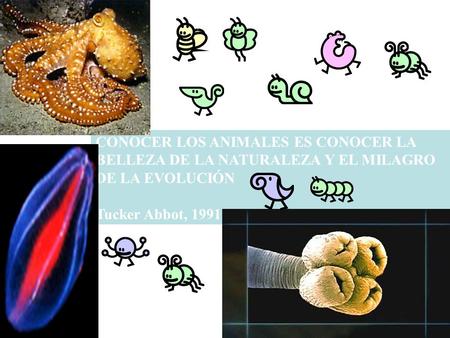 CONOCER LOS ANIMALES ES CONOCER LA