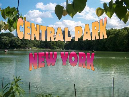 CENTRAL PARK NEW YORK.