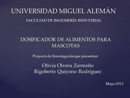 UNIVERSIDAD MIGUEL ALEMÁN