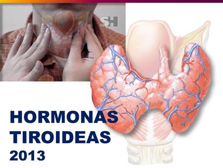 HORMONAS TIROIDEAS 2013.