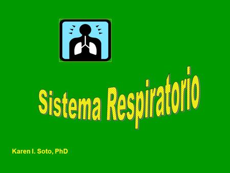 Sistema Respiratorio Karen I. Soto, PhD.