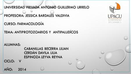 Universidad Privada Antonio Guillermo Urrelo Profesora: Jessica Bardales Valdivia Curso: Farmacología Tema: antiprotozoarios y antipaludícos alumnas: