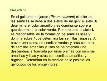 Problema 12 En el guisante de jardín (Pisum sativum) el color de las semillas se debe a dos alelos de un gen: el alelo A determina el color amarillo y.