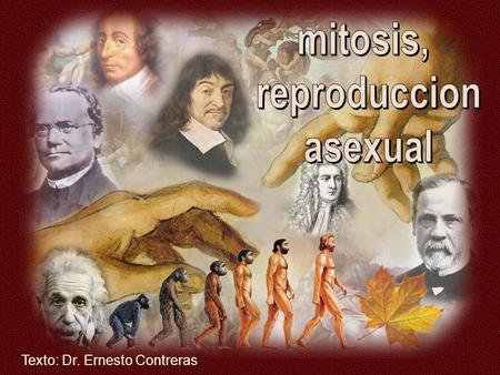 mitosis, reproduccion asexual