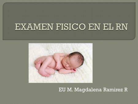 EU M. Magdalena Ramirez R