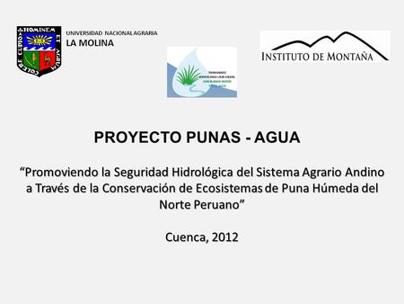 “Promoviendo la Seguridad Hidrológica del Sistema Agrario Andino a Través de la Conservación de Ecosistemas de Puna Húmeda del Norte Peruano” Cuenca, 2012.