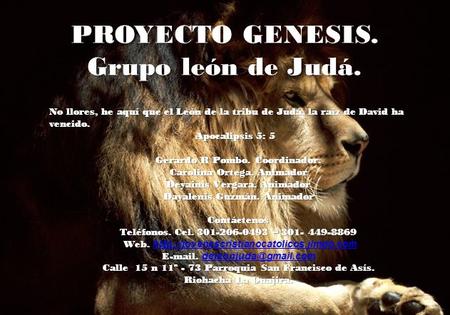 PROYECTO GENESIS. Grupo león de Judá. No llores, he aquí que el León de la tribu de Judá, la raíz de David ha vencido. Apocalipsis 5: 5 Apocalipsis 5:
