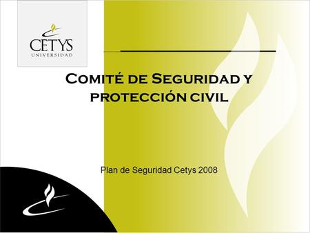 Comité de Seguridad y protección civil