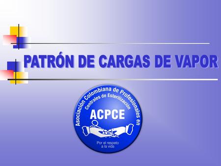 PATRÓN DE CARGAS DE VAPOR