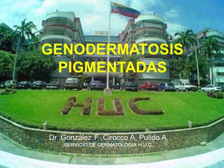 GENODERMATOSIS PIGMENTADAS