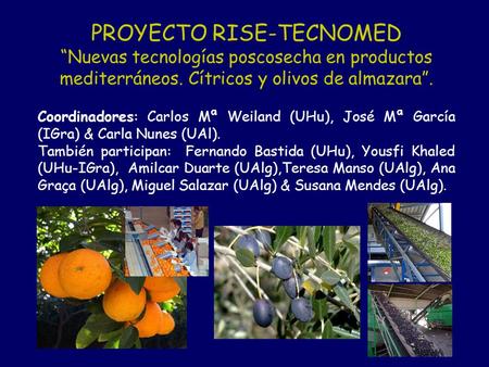 PROYECTO RISE-TECNOMED