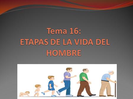 Tema 16: ETAPAS DE LA VIDA DEL HOMBRE
