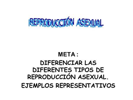 REPRODUCCIÓN ASEXUAL META :