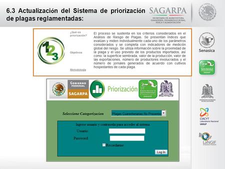 Avances 6.3 Actualizaci ó n del Sistema de priorizaci ó n de plagas reglamentadas: