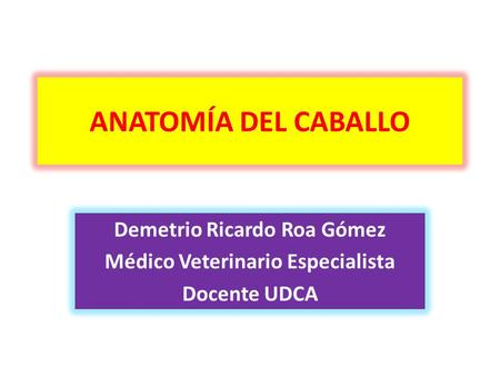 Demetrio Ricardo Roa Gómez Médico Veterinario Especialista