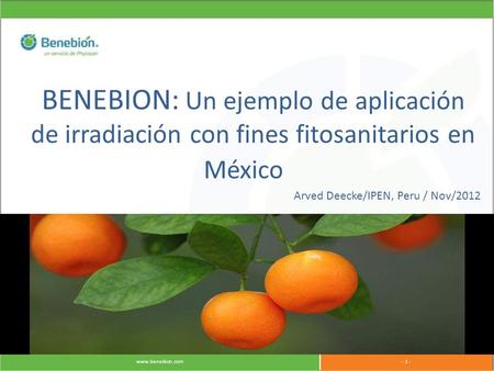 BENEBION: Un ejemplo de aplicación de irradiación con fines fitosanitarios en México Arved Deecke/IPEN, Peru / Nov/2012.