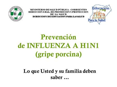 Prevención de INFLUENZA A H1N1 (gripe porcina) MINISTERIO DE SALUD PÚBLICA – CORRIENTES DIRECCION GRAL. DE PROMOCION Y PROTECCION DE LA SALUD DIRECCION.