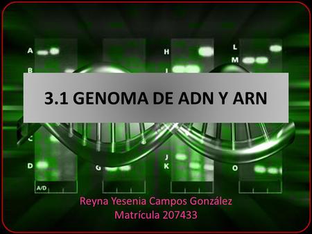 Reyna Yesenia Campos González Matrícula