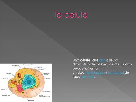 Una célula (del latín cellula, diminutivo de cellam, celda, cuarto pequeño) es la unidadmorfológica y funcional de todo ser vivo. latínmorfológicafuncionalser.