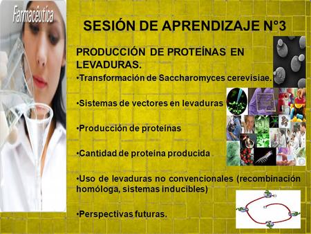 SESIÓN DE APRENDIZAJE N°3