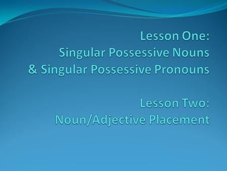 Lesson One: Singular Possessive Nouns & Singular Possessive Pronouns Lesson Two: Noun/Adjective Placement.