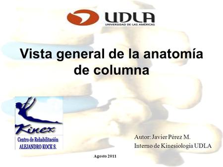 Vista general de la anatomía de columna