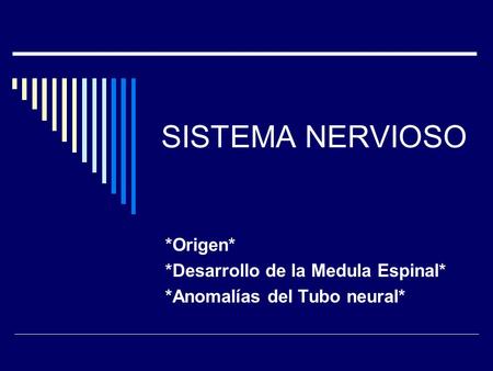 *Origen* *Desarrollo de la Medula Espinal* *Anomalías del Tubo neural*