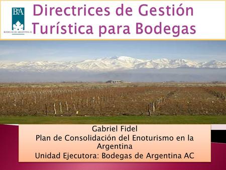 Gabriel Fidel Plan de Consolidación del Enoturismo en la Argentina Unidad Ejecutora: Bodegas de Argentina AC Gabriel Fidel Plan de Consolidación del Enoturismo.