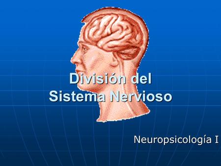 División del Sistema Nervioso