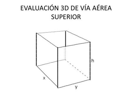 EVALUACIÓN 3D DE VÍA AÉREA SUPERIOR. NARIZ – NIVEL 1.