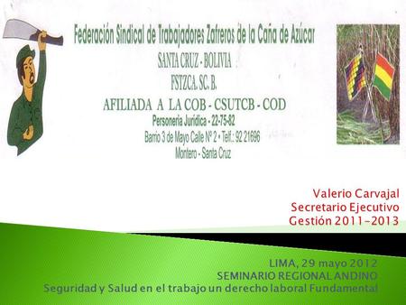 LIMA, 29 mayo 2012 SEMINARIO REGIONAL ANDINO Seguridad y Salud en el trabajo un derecho laboral Fundamental.