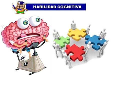 Porción ascendente Cayado de la Aorta Porción descendente Aorta Torácica Porción descendente Aorta abdominal RAMAS TERMINALES.
