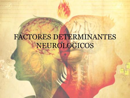 FACTORES DETERMINANTES NEUROLOGICOS
