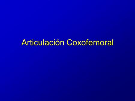 Articulación Coxofemoral