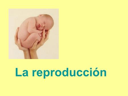 La reproducción.