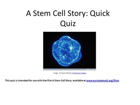 A Stem Cell Story: Quick Quiz Image: Dr David Becker/Wellcome ImagesWellcome Images This quiz is intended for use with the film A Stem Cell Story, available.