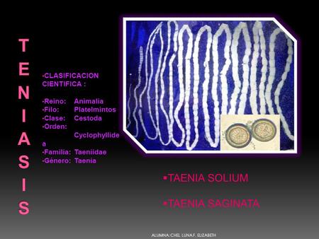 teniasis TAENIA SOLIUM TAENIA SAGINATA CLASIFICACION CIENTIFICA :