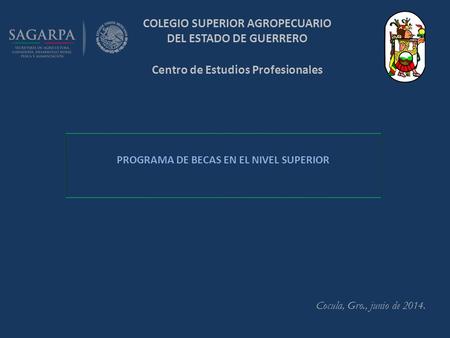 COLEGIO SUPERIOR AGROPECUARIO DEL ESTADO DE GUERRERO Centro de Estudios Profesionales Cocula, Gro., junio de 2014. PROGRAMA DE BECAS EN EL NIVEL SUPERIOR.