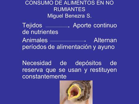 CONSUMO DE ALIMENTOS EN NO RUMIANTES Miguel Benezra S.