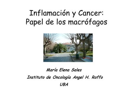 Instituto de Oncología Angel H. Roffo