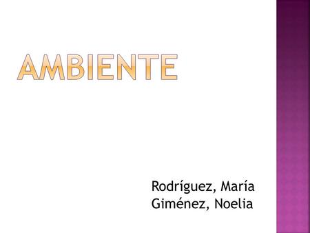 AMBIENTE Rodríguez, María Giménez, Noelia.