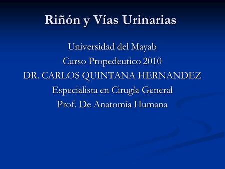Riñón y Vías Urinarias Universidad del Mayab Curso Propedeutico 2010