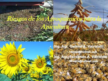 Riesgos de los Agroquímicos para la