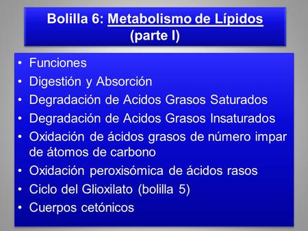 Bolilla 6: Metabolismo de Lípidos (parte I)