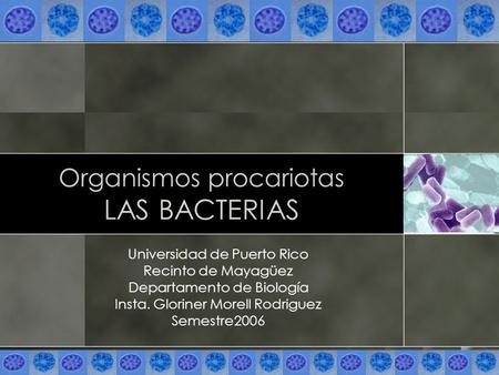 Organismos procariotas LAS BACTERIAS