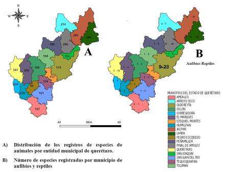 A)Distribución de los registros de especies de animales por entidad municipal de querétaro. B)Número de especies registradas por municipio de anfibios.