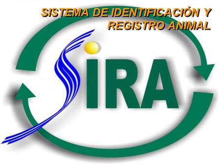 SISTEMA DE IDENTIFICACIÓN Y REGISTRO ANIMAL. Marco Normativo  Resolución Ministerial 10.569 - 21/4/06 y la  Ley 17.997 – 02/08/06 – 08/08/06 crea el: